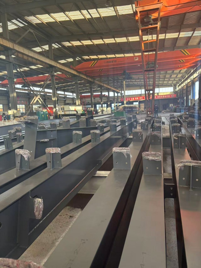 steel structure amusement park project